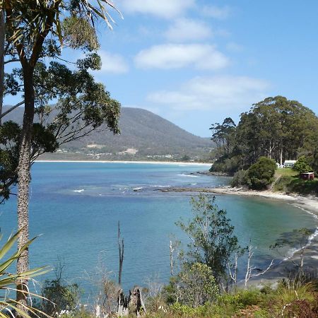 Osprey Lodge & Bungalow Eaglehawk Neck Buitenkant foto