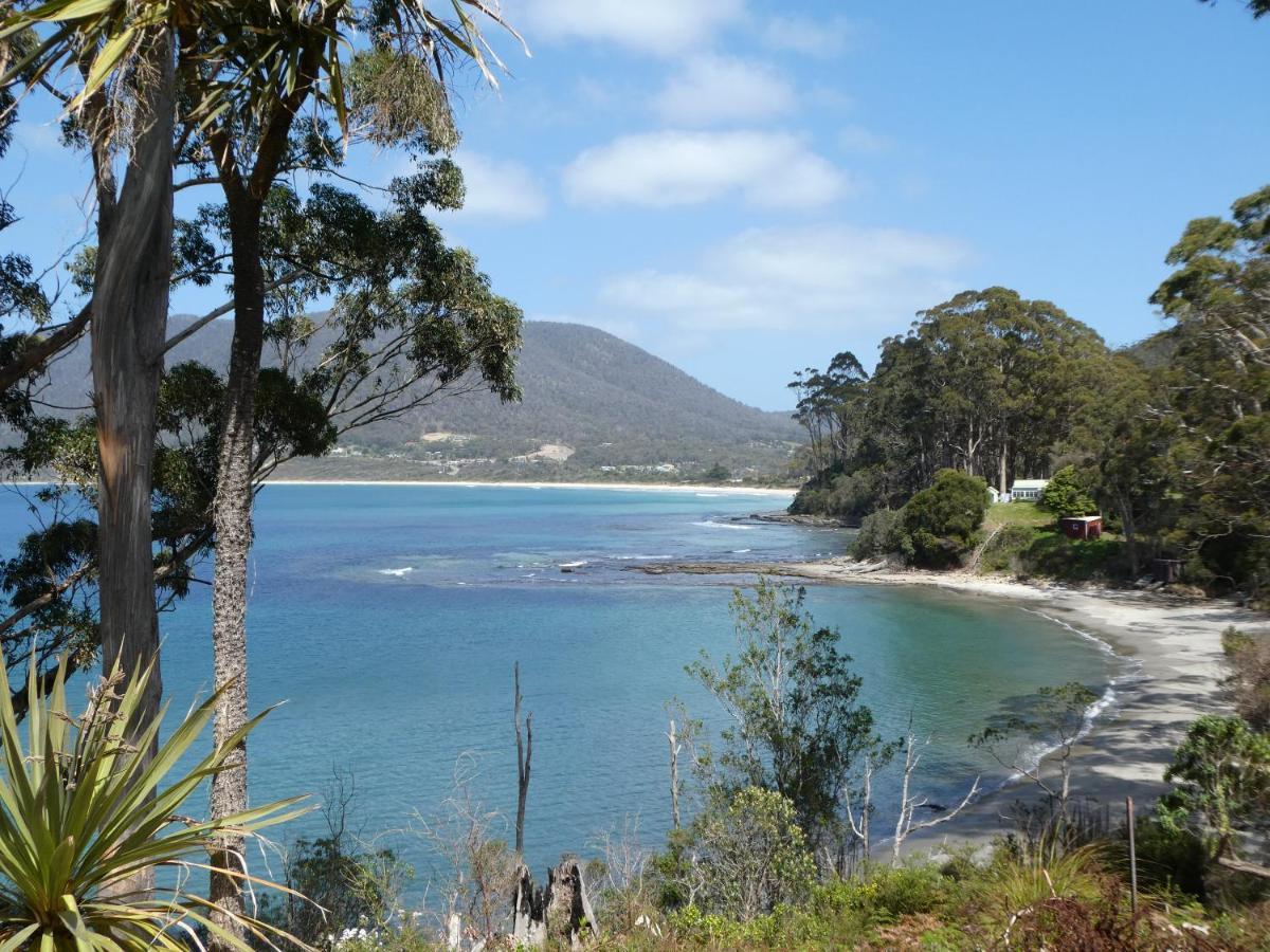 Osprey Lodge & Bungalow Eaglehawk Neck Buitenkant foto